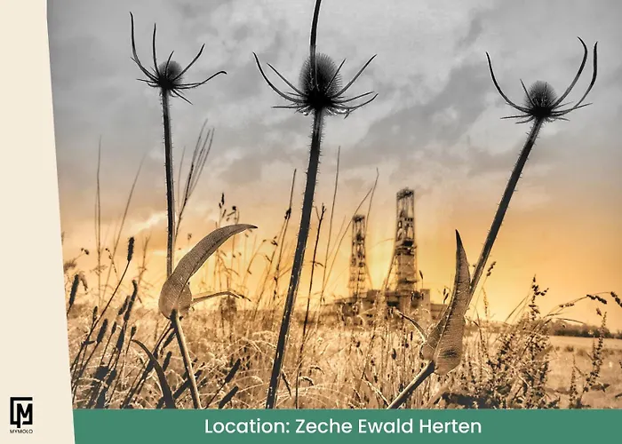 Glamping In Der Zeche Ewald